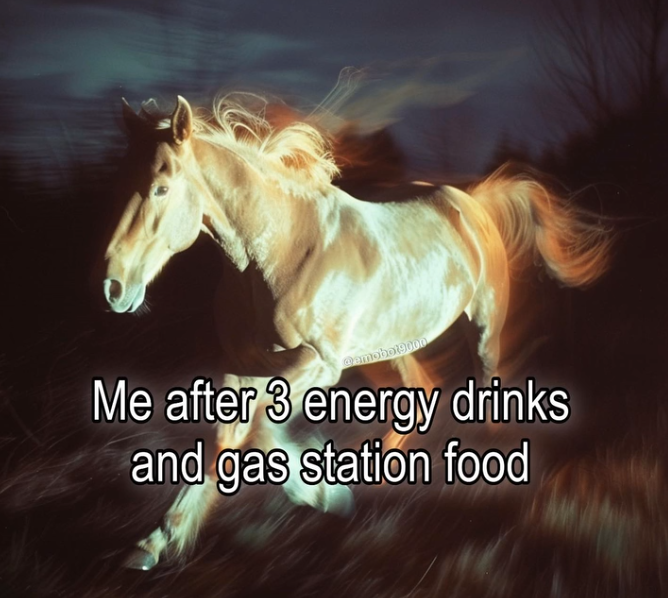 This meme is a humorous illustration of a person's energy levels after consuming multiple energy drinks and fast food. The image depicts a horse in a frantic, galloping position, conveying the idea of a person's energy suddenly surging after consuming such substances. The text "Me after 3 energy drinks and gas station food" appears at the bottom of the image, highlighting the comedic aspect of this scenario.